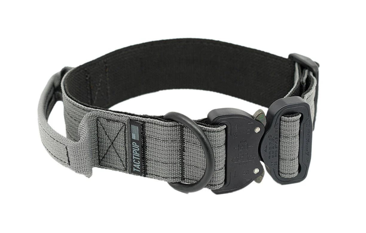 Hundehalsband mit Griff: Die besten Marken im Vergleich