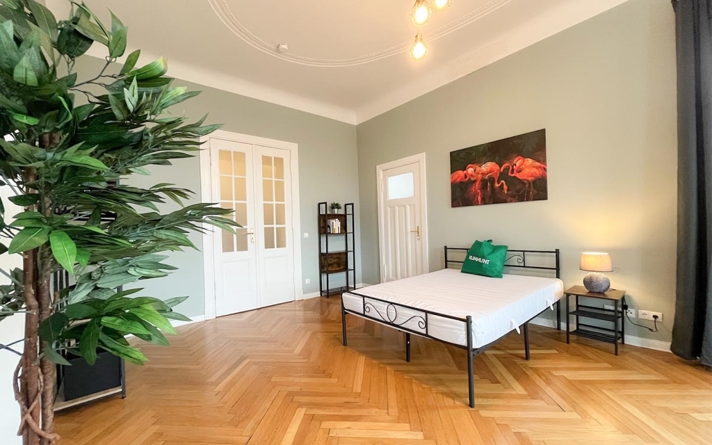 Experience True Transparency with CoLiving in Berlin at KUMMUNI