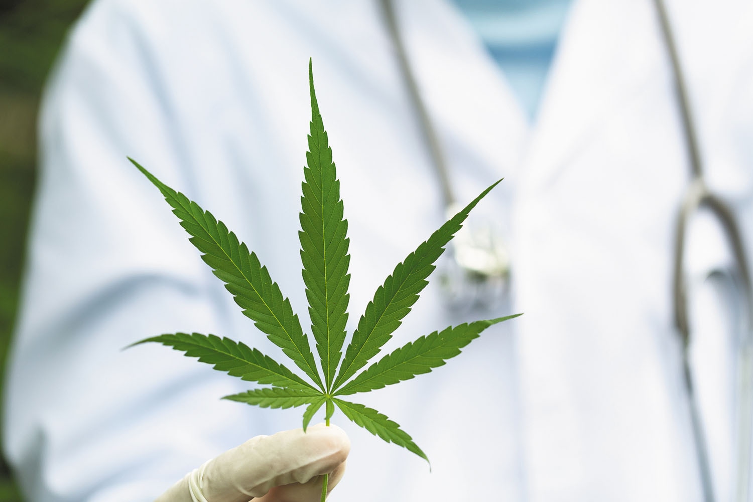 THCA genießen – Sicher, legal und direkt zu Dir geliefert!