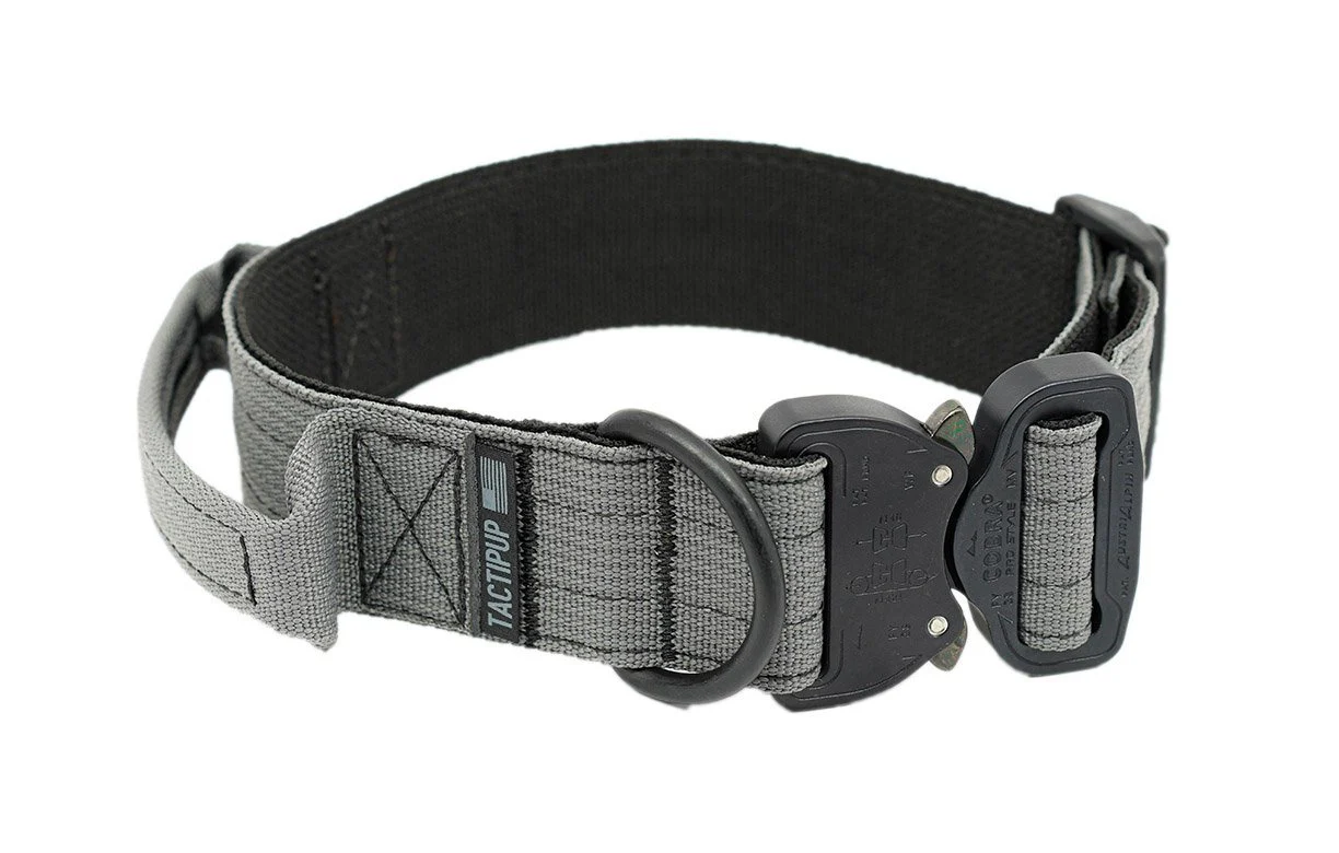 Hundehalsband mit Griff: Die besten Marken im Vergleich
