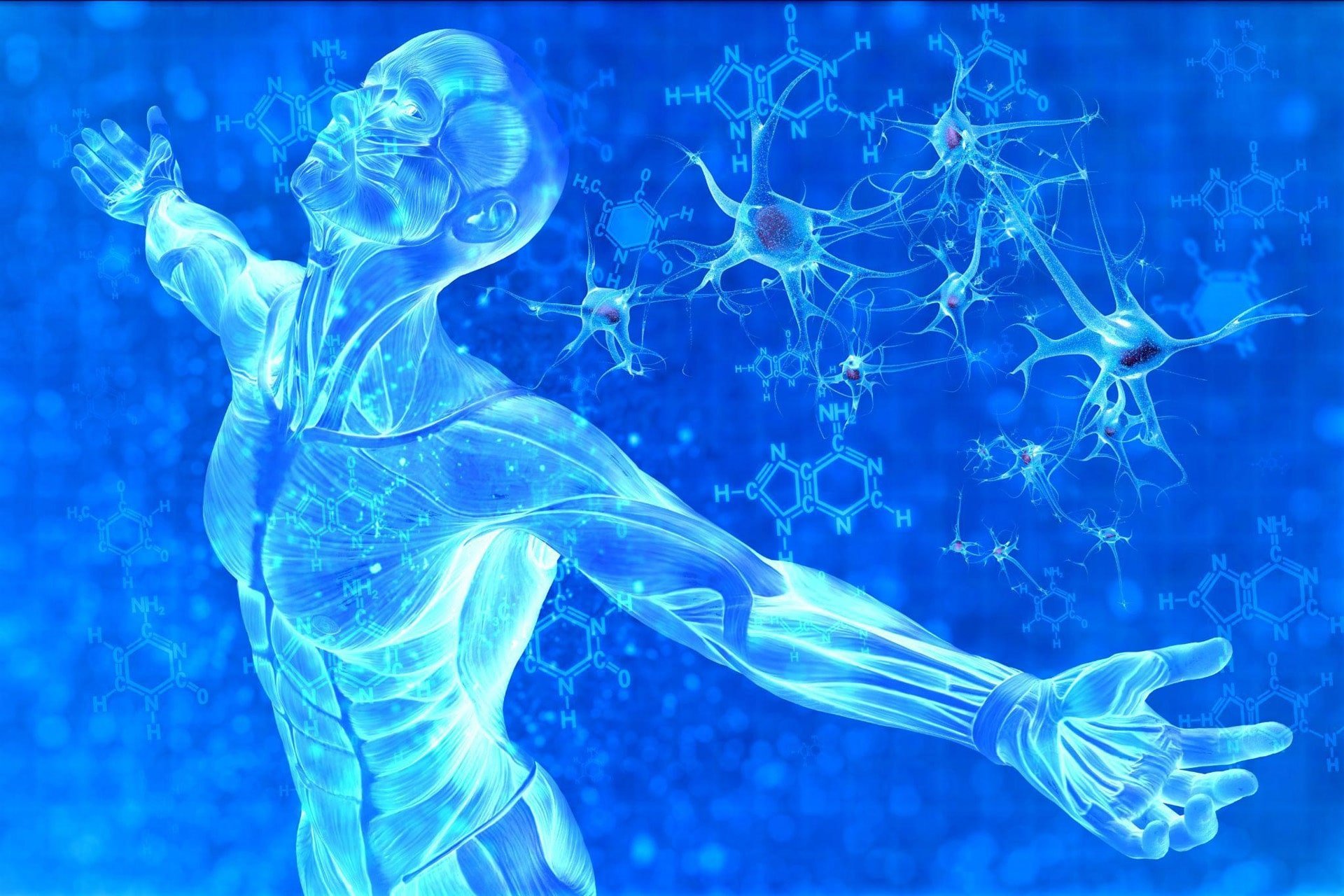 NAD+ als Hoffnungsträger in der Anti-Aging-Welt: Was Sie wissen müssen