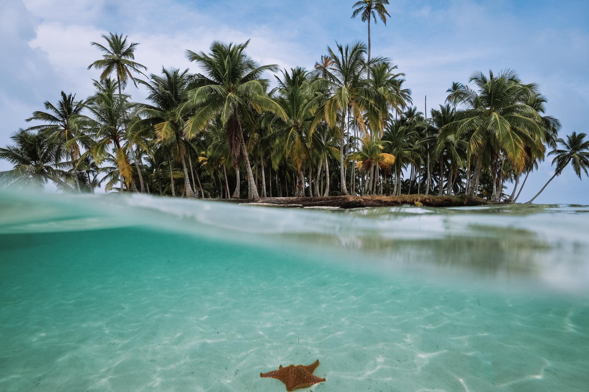 Warum Sea San Blas Touren die beste Wahl für Ihren tropischen Urlaub in Panama sind