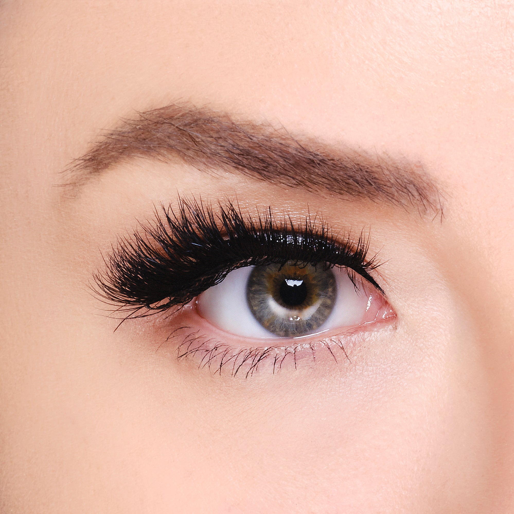 Erleben Sie den Unterschied: Hochwertige Produkte für Wimpernstylisten