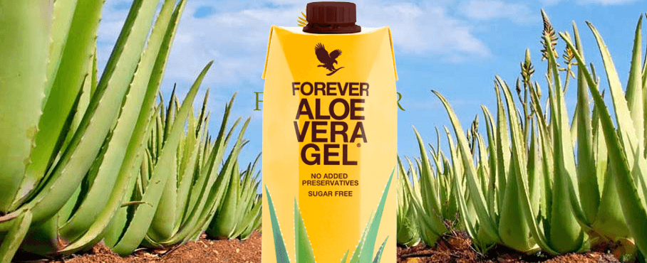 Wie Sie Ihr Geschäft als unabhängiger Distributor von Forever Living ausbauen