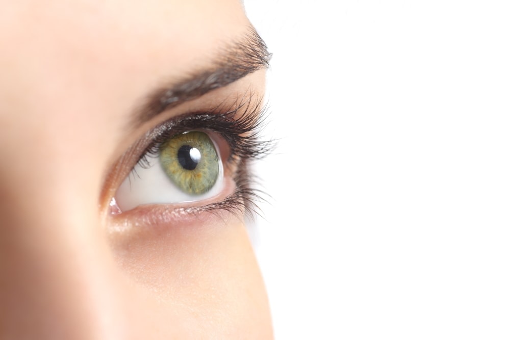 Professionelle Wimpernverlängerung mit Elan Farbe – Jetzt ausprobieren