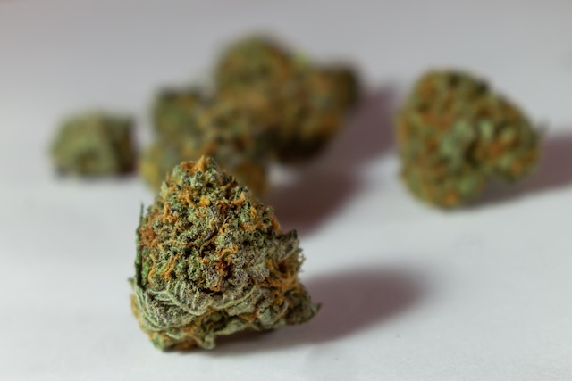 THCA blüten deutschland rauchen: Was du erwarten kannst