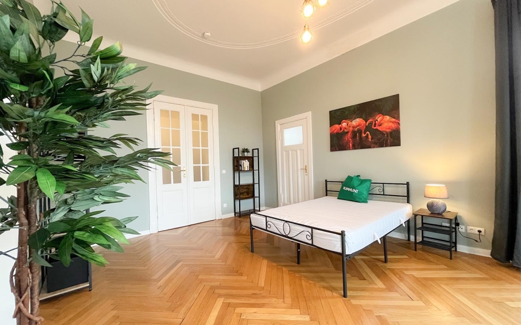 Experience True Transparency with CoLiving in Berlin at KUMMUNI