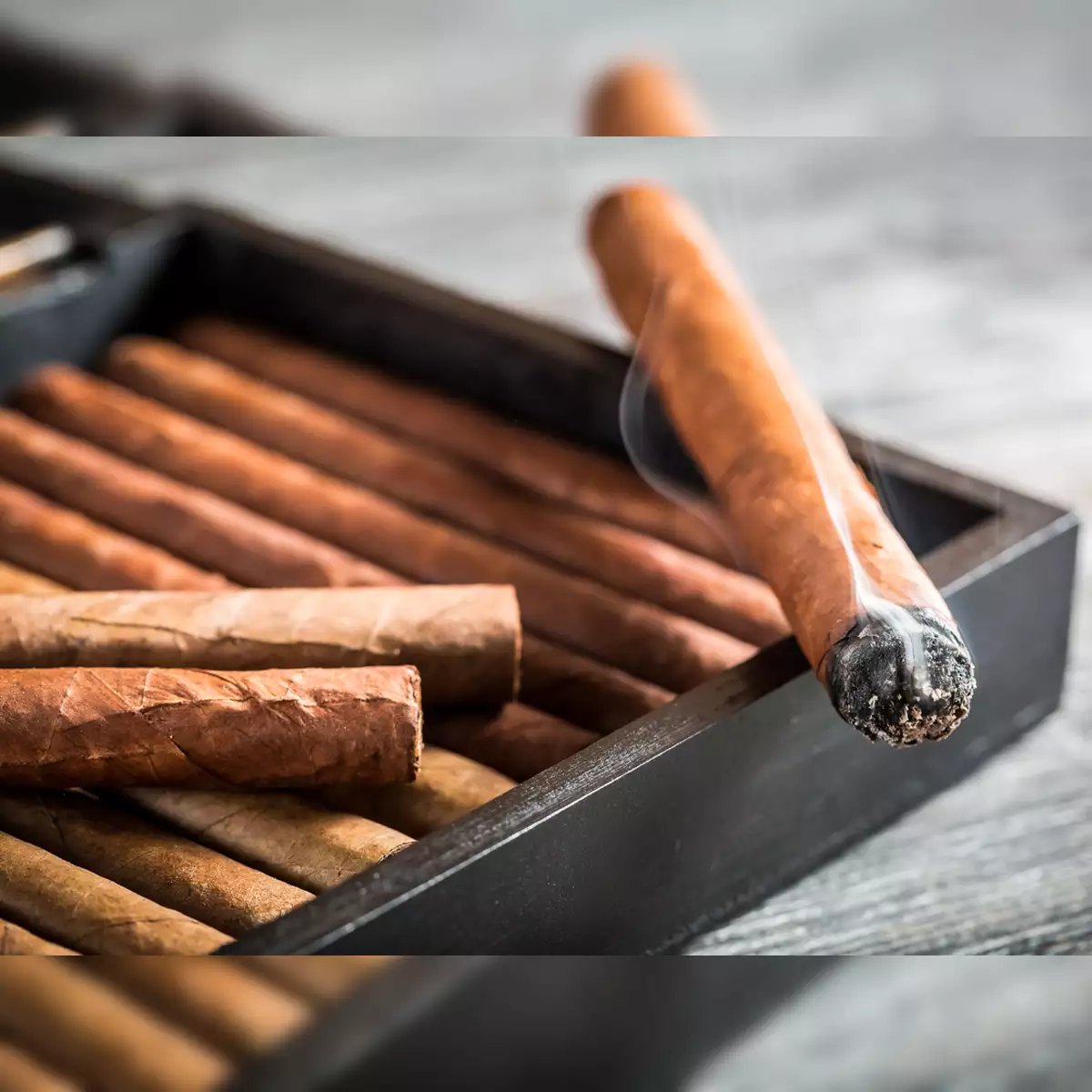Erstklassige Zigarrenmarken jetzt online bei C-Cigars entdecken