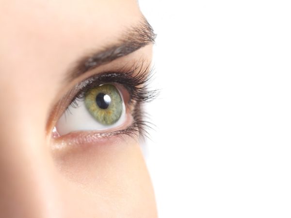 Professionelle Wimpernverlängerung mit Elan Farbe – Jetzt ausprobieren